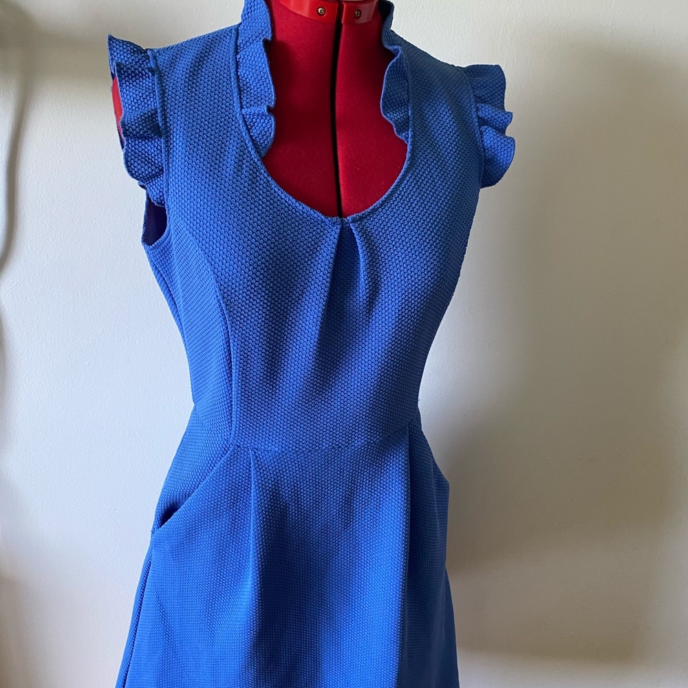 Anthropologie Tabitha Teahouse Blue ruffle Sz 4